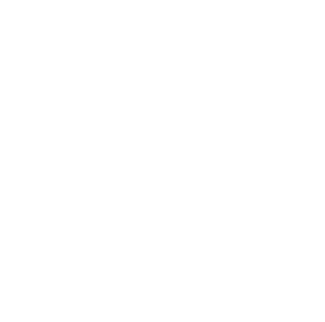 voice-pict